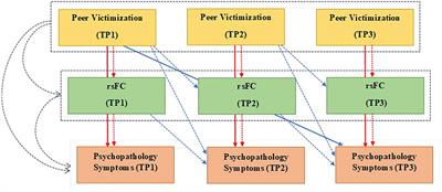 A longitudinal mediation study of peer victimization and resting-state functional connectivity as predictors of development of adolescent psychopathology